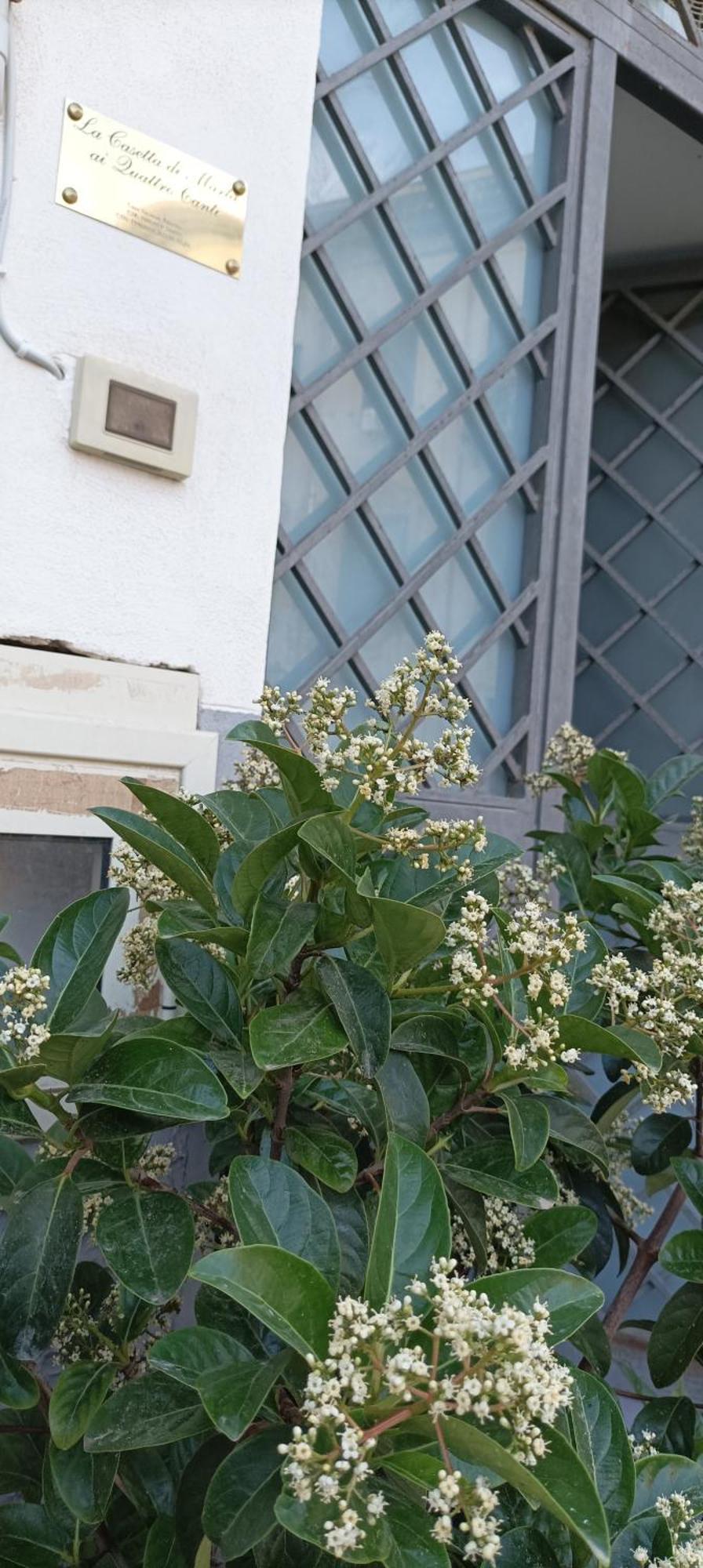 La Casetta Di Marta Ai Quattro Canti Palermo Exterior foto